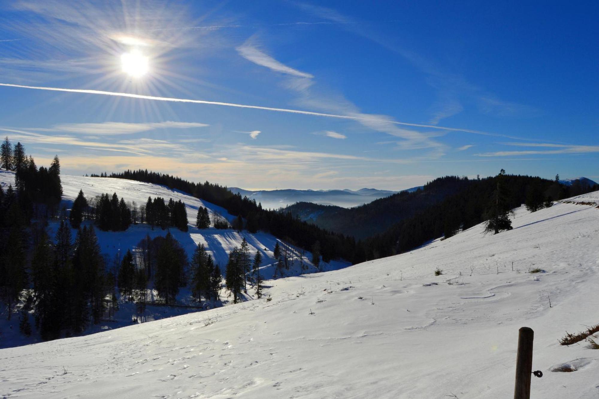 Haus Findling, 10 Personen, Schluchsee, Hochschwarzwaldkarte Dış mekan fotoğraf