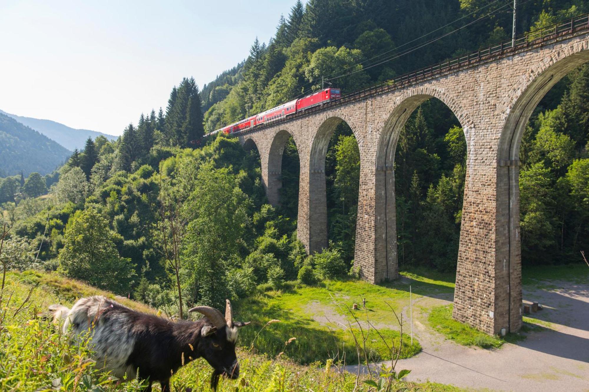 Haus Findling, 10 Personen, Schluchsee, Hochschwarzwaldkarte Dış mekan fotoğraf